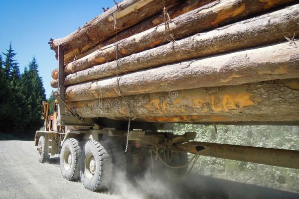 Logging truck editorial photography_ Image of tree, timber - 32211057